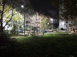 Да будет свет: новыми красками заиграл двор в округе №14 после установки освещения